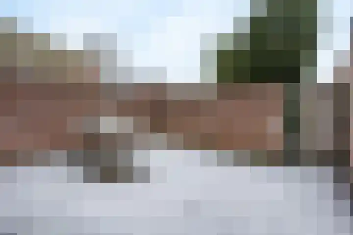 Papelaan 82 Voorschoten thumbnail 30