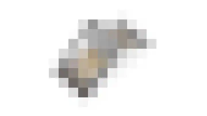 Papelaan 82 Voorschoten thumbnail 41