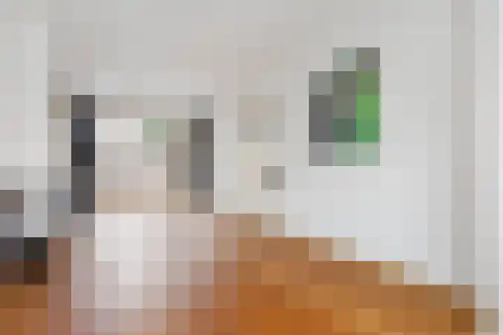 Papelaan 82 Voorschoten thumbnail 6