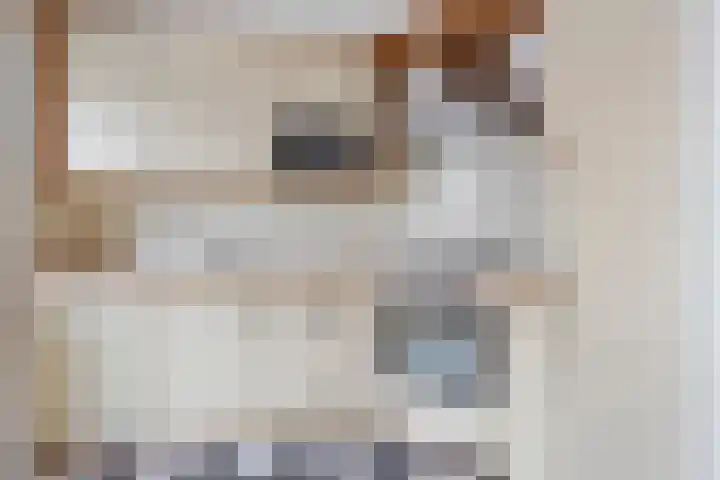 Papelaan 82 Voorschoten thumbnail 9