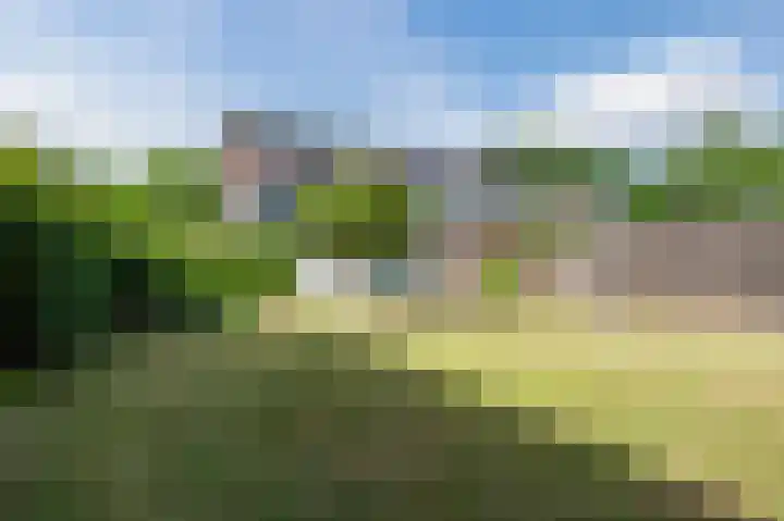 Papelaan-West 224 Voorschoten thumbnail 28