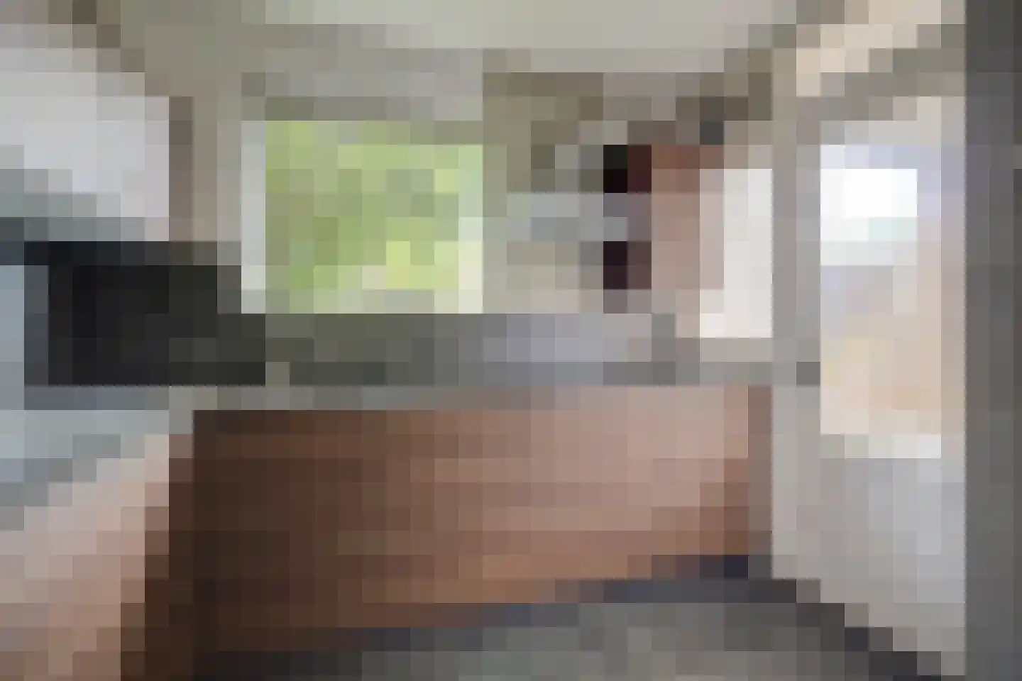 Papenakker 10 Alphen thumbnail 13