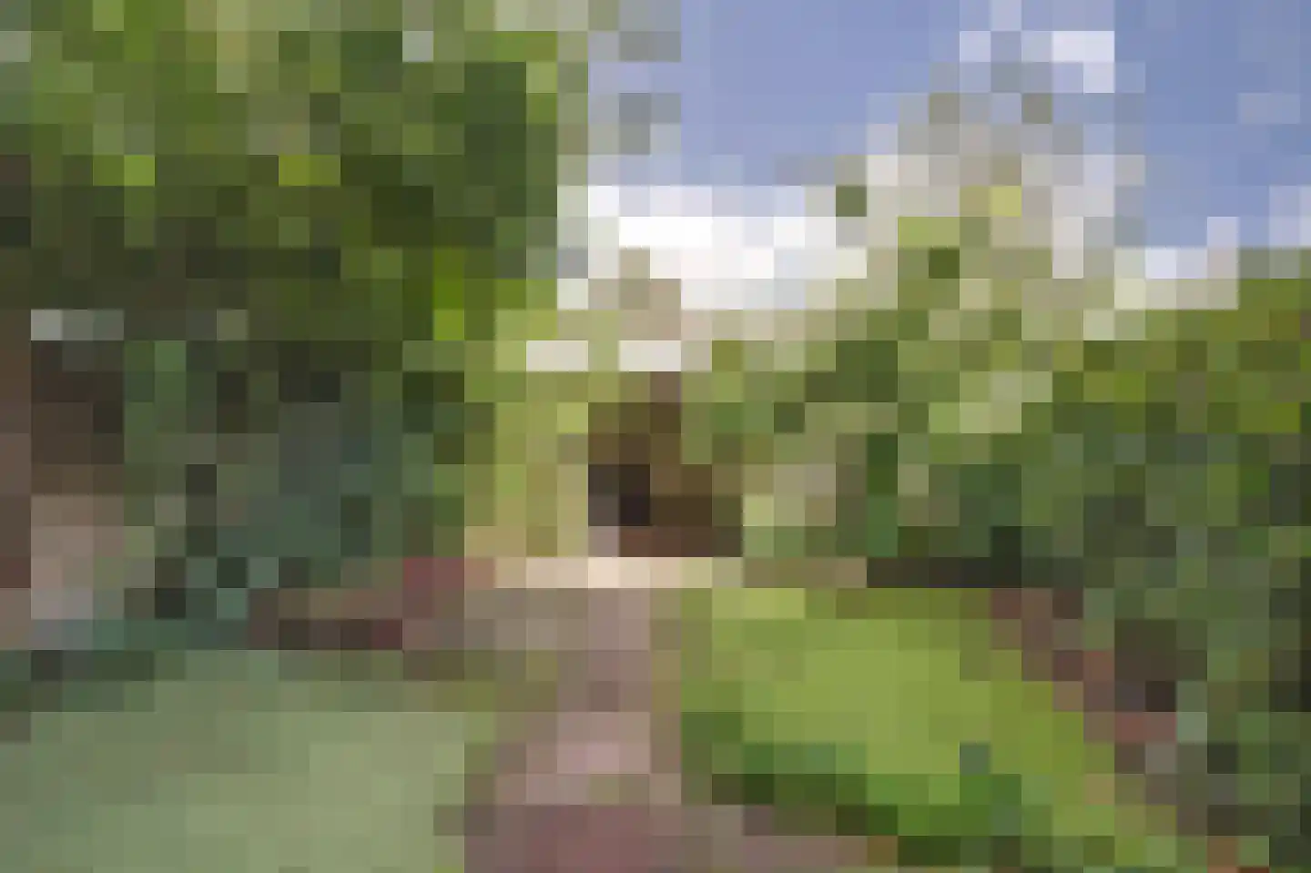 Papenakker 10 Alphen thumbnail 29