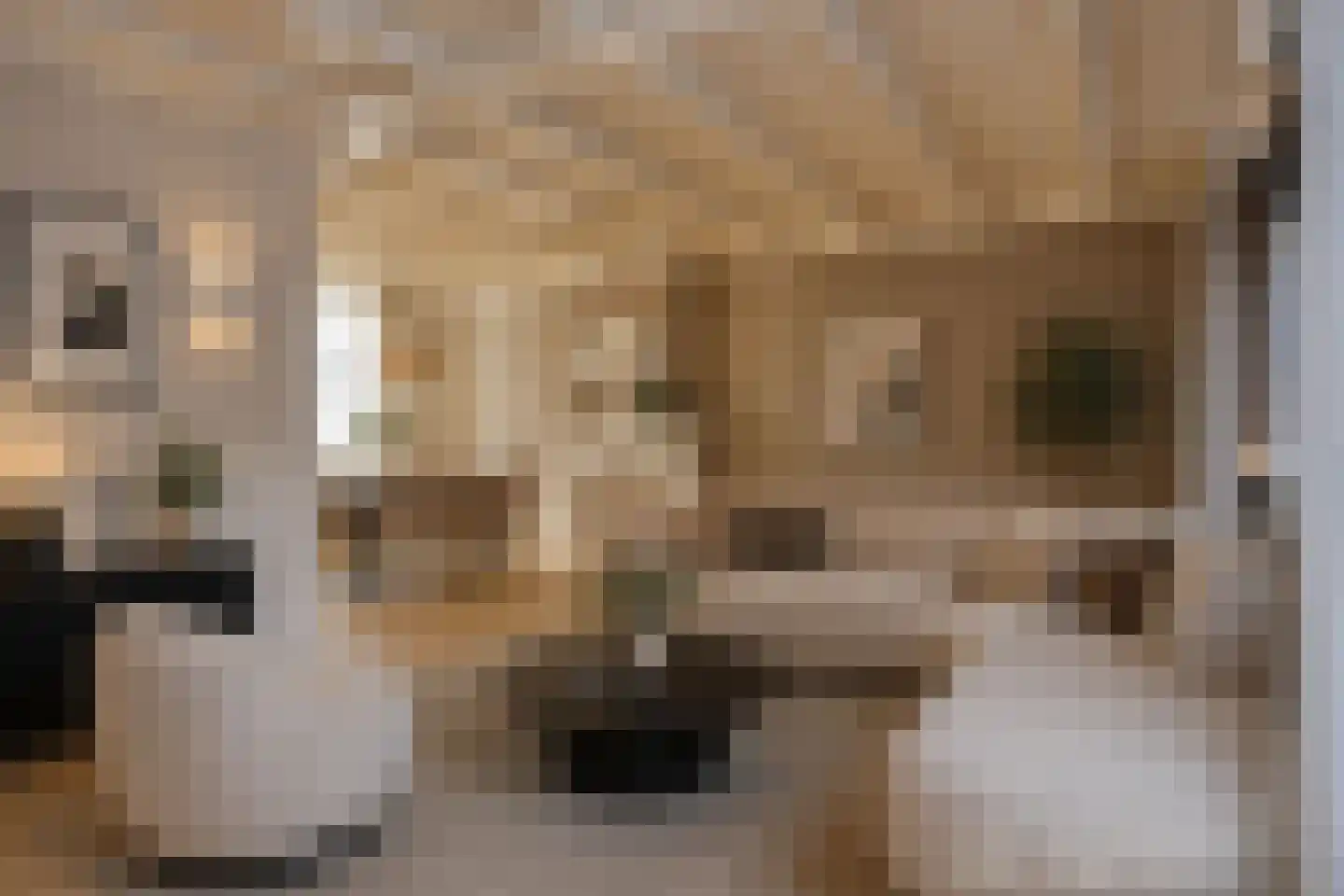 Papenakker 12 Alphen thumbnail 19