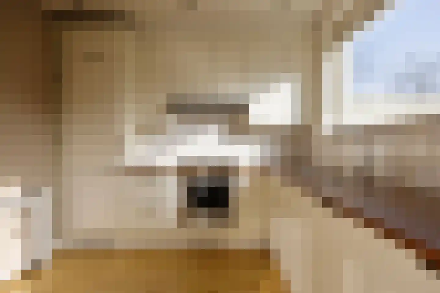 Papenakker 12 Alphen thumbnail 19