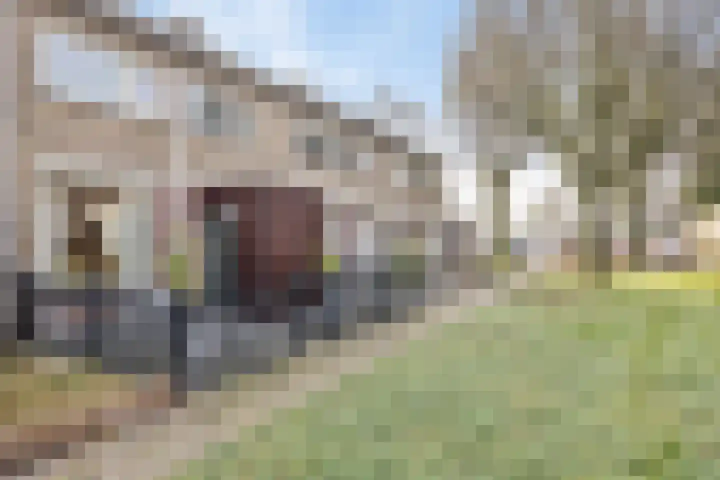 Papenakker 12 Alphen thumbnail 6
