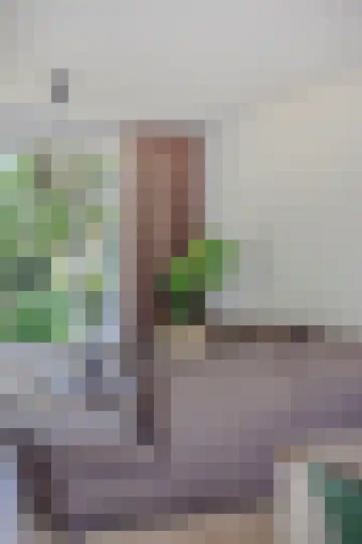 Papenakker 15 Alphen thumbnail 13