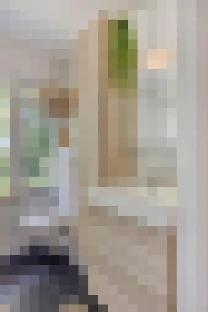 Papenakker 15 Alphen thumbnail 26