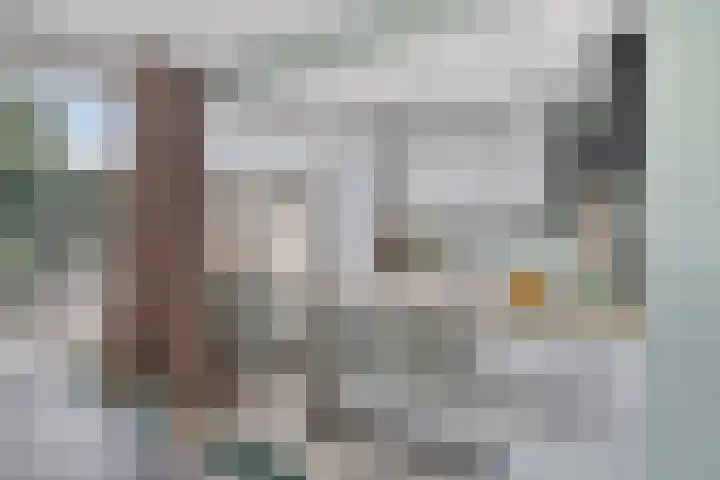 Papenakker 15 Alphen thumbnail 4
