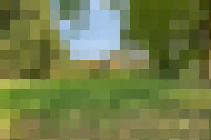 Papenakker 15 Alphen thumbnail 42