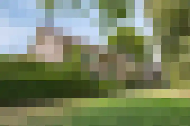 Papenakker 15 Alphen thumbnail 43