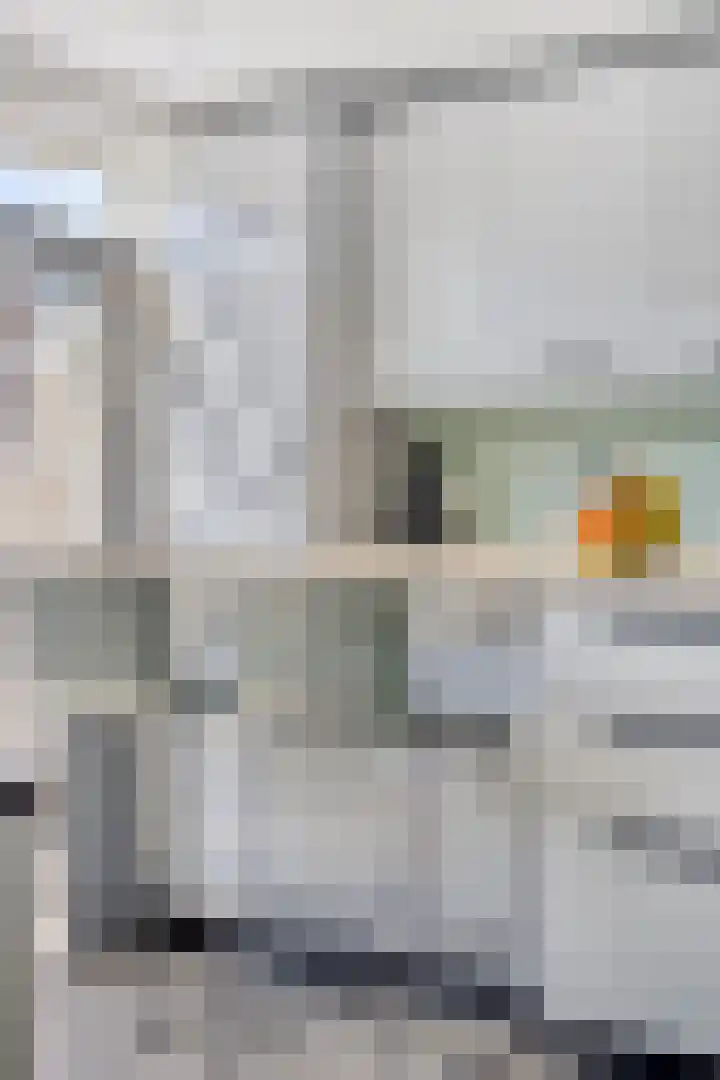 Papenakker 15 Alphen thumbnail 7