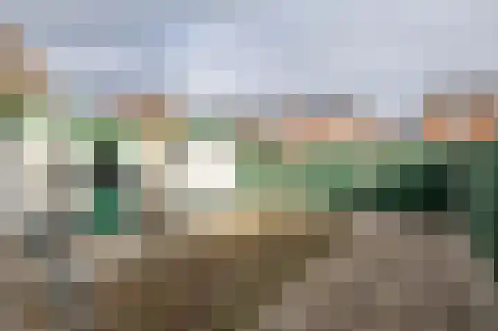 Papenbeek 52 Well L thumbnail 4