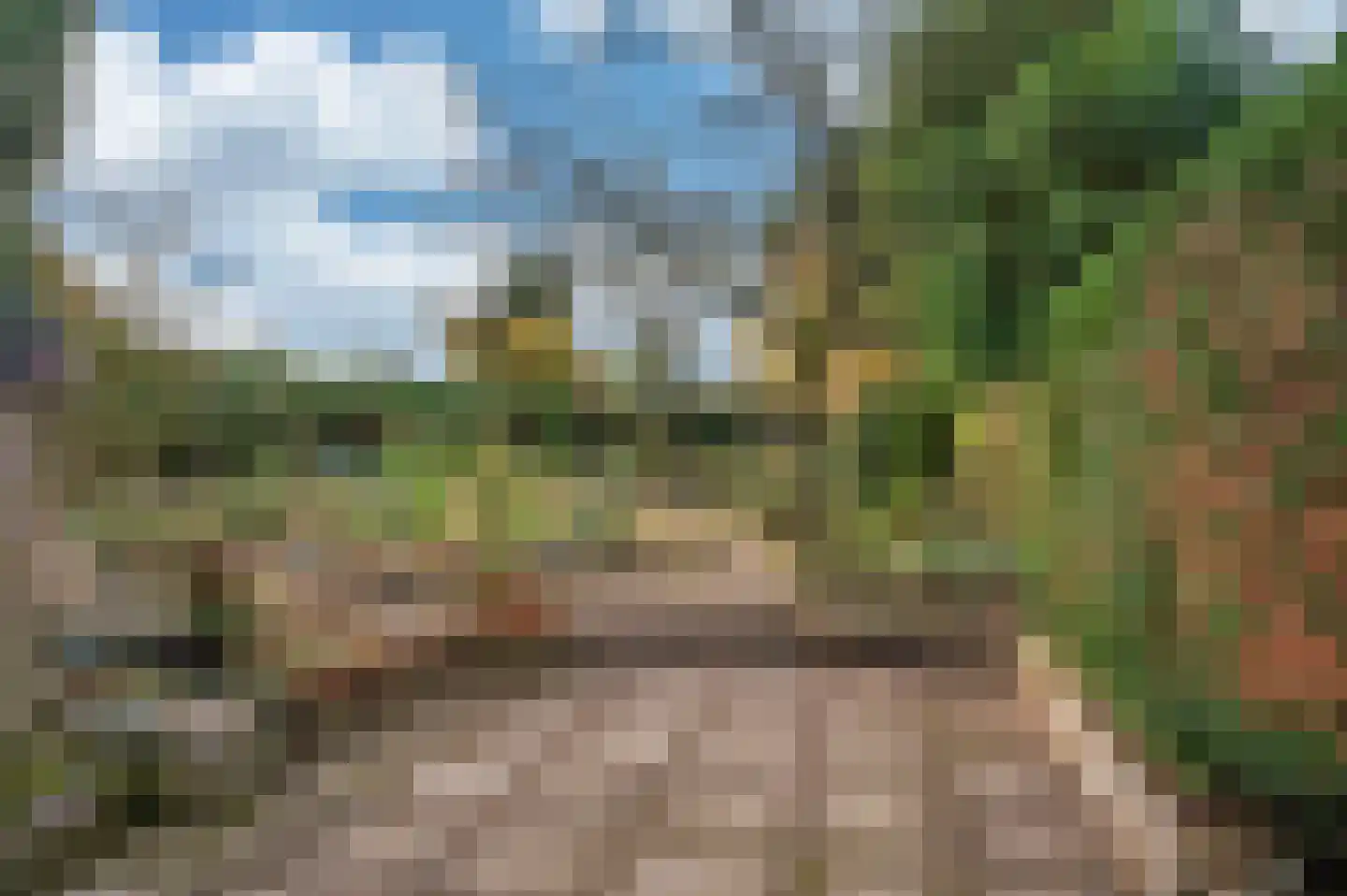 Papenbeek 61 Well L thumbnail 36