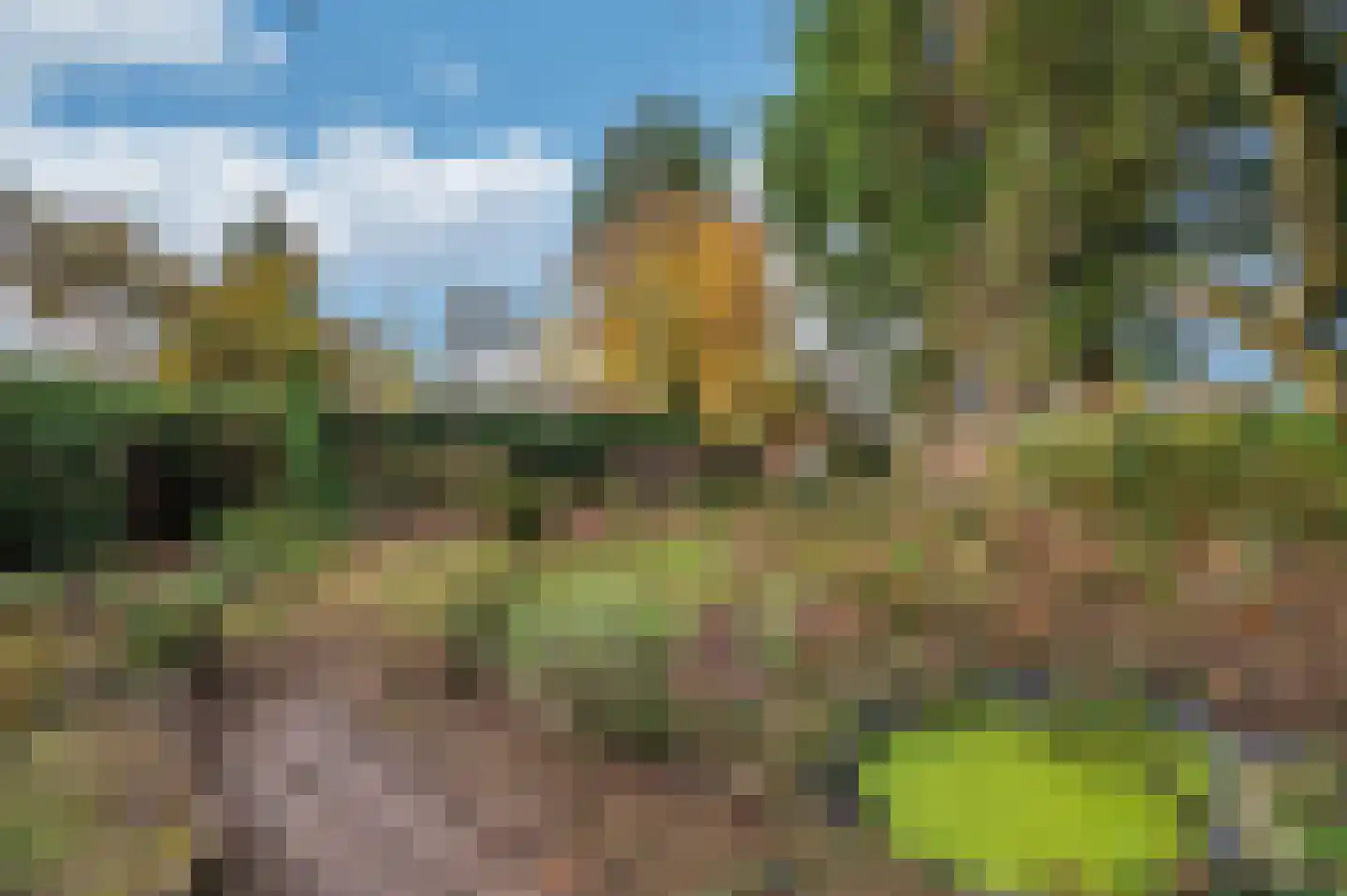 Papenbeek 61 Well L thumbnail 4