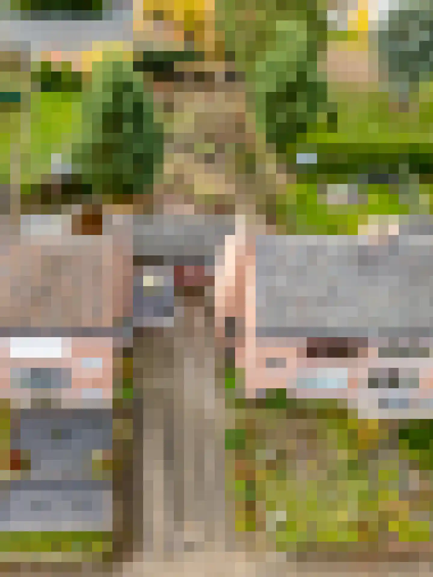 Papenbeek 61 Well L thumbnail 5