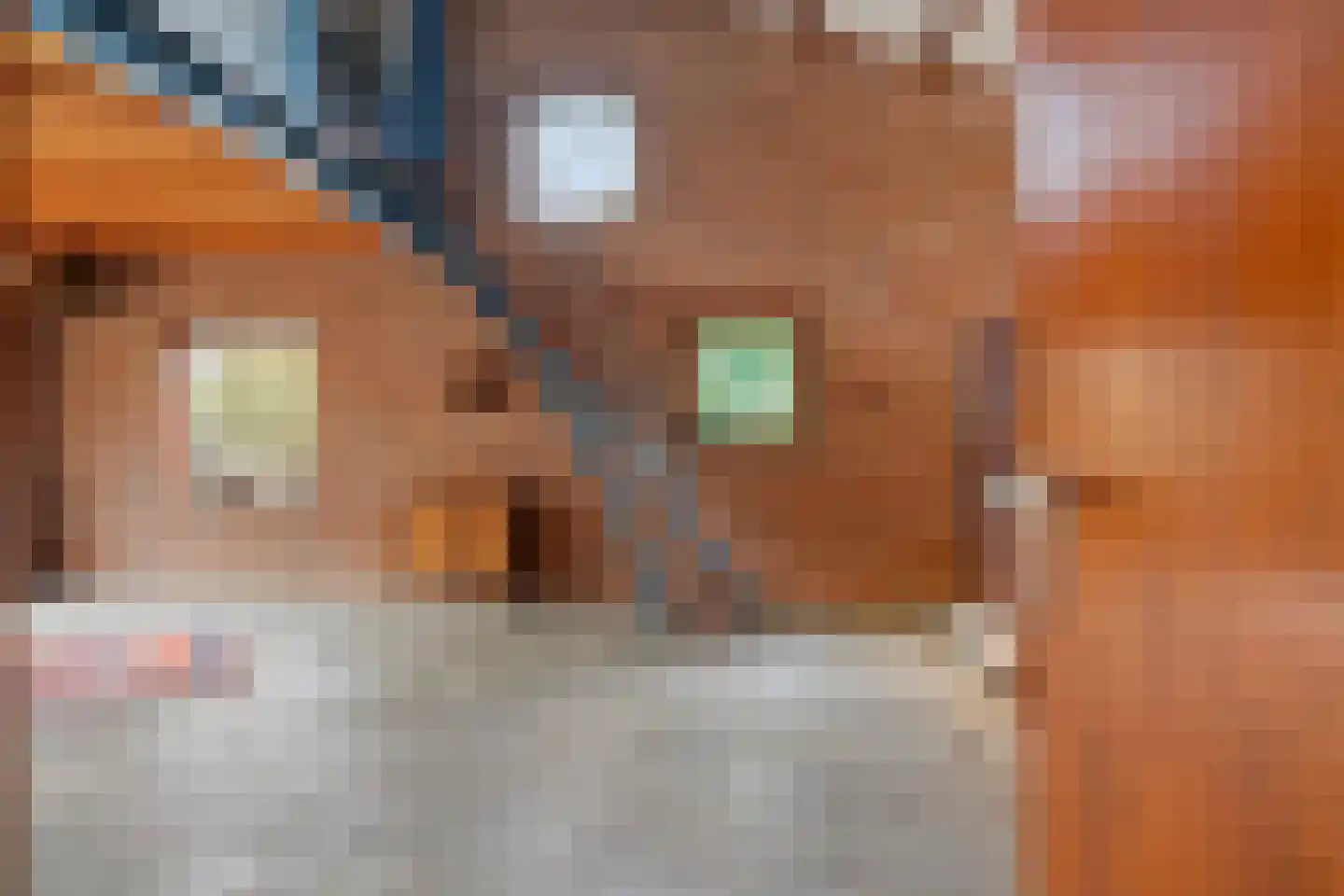 Papenbergseweg 14 Mook thumbnail 18