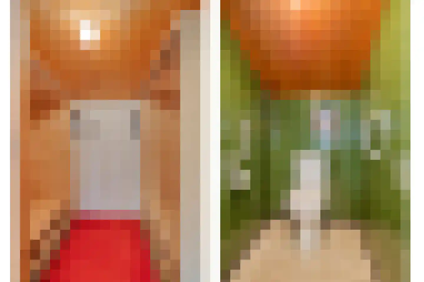 Papenbergseweg 14 Mook thumbnail 34