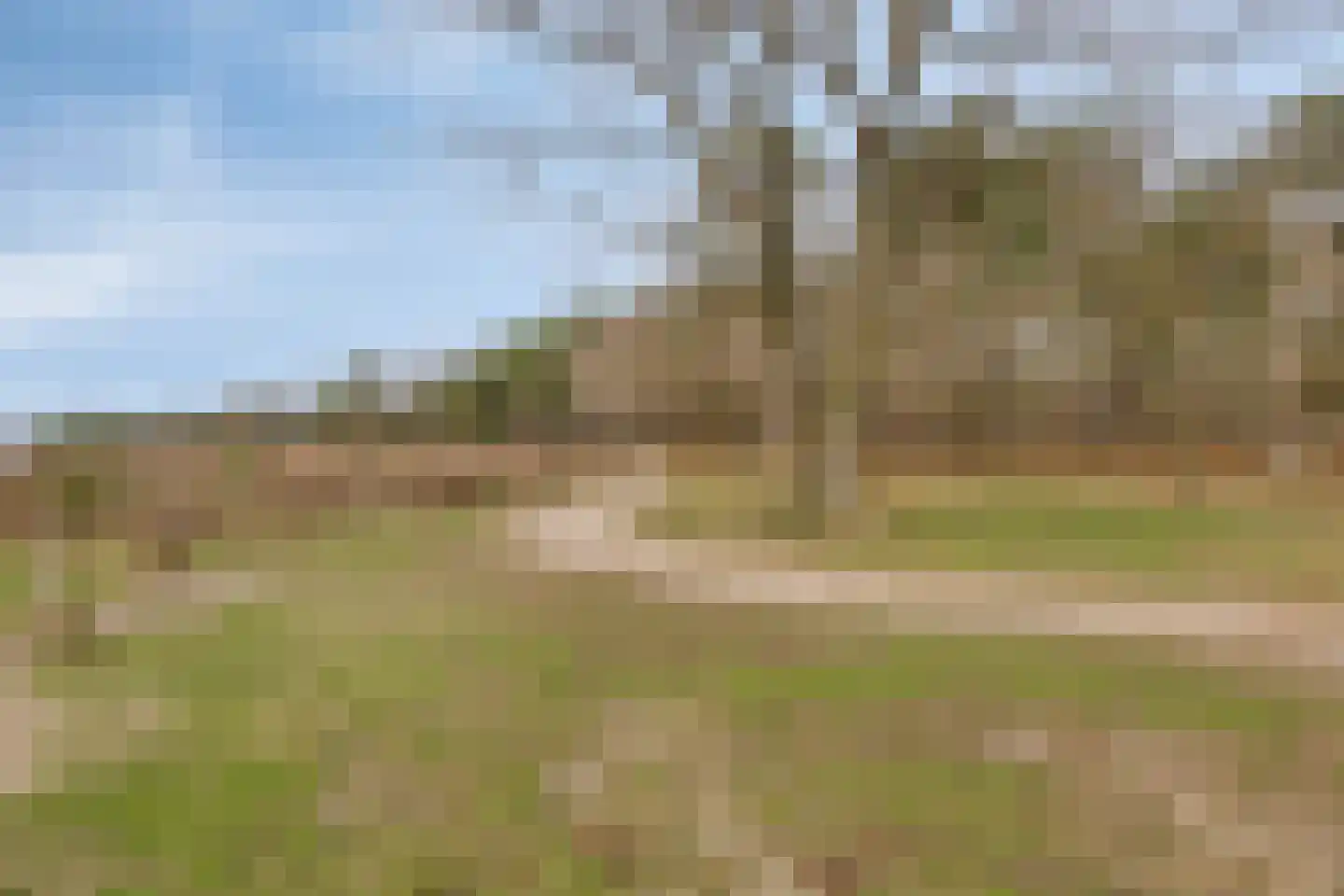 Papenbergseweg 14 Mook thumbnail 4