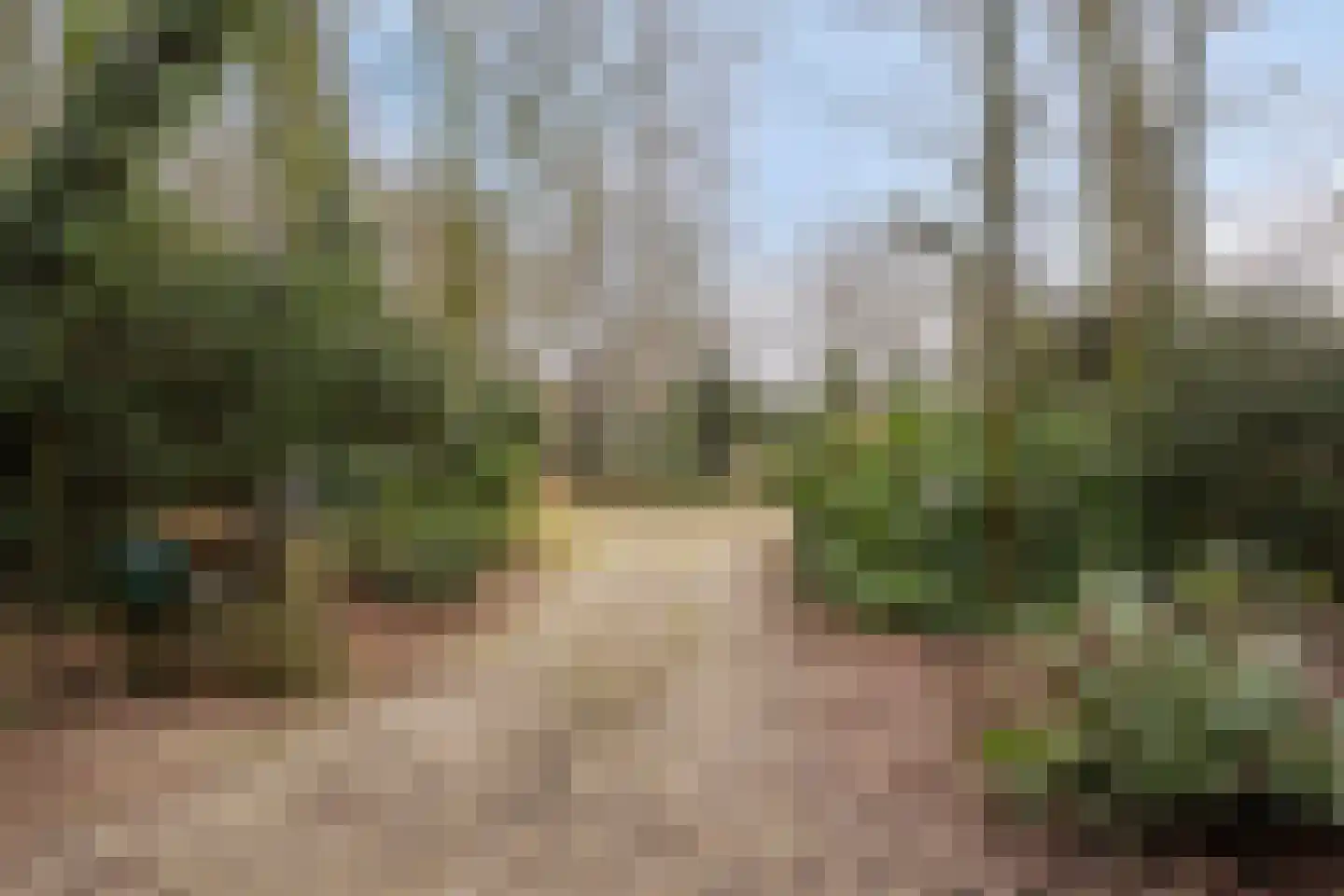 Papenbergseweg 14 Mook thumbnail 52