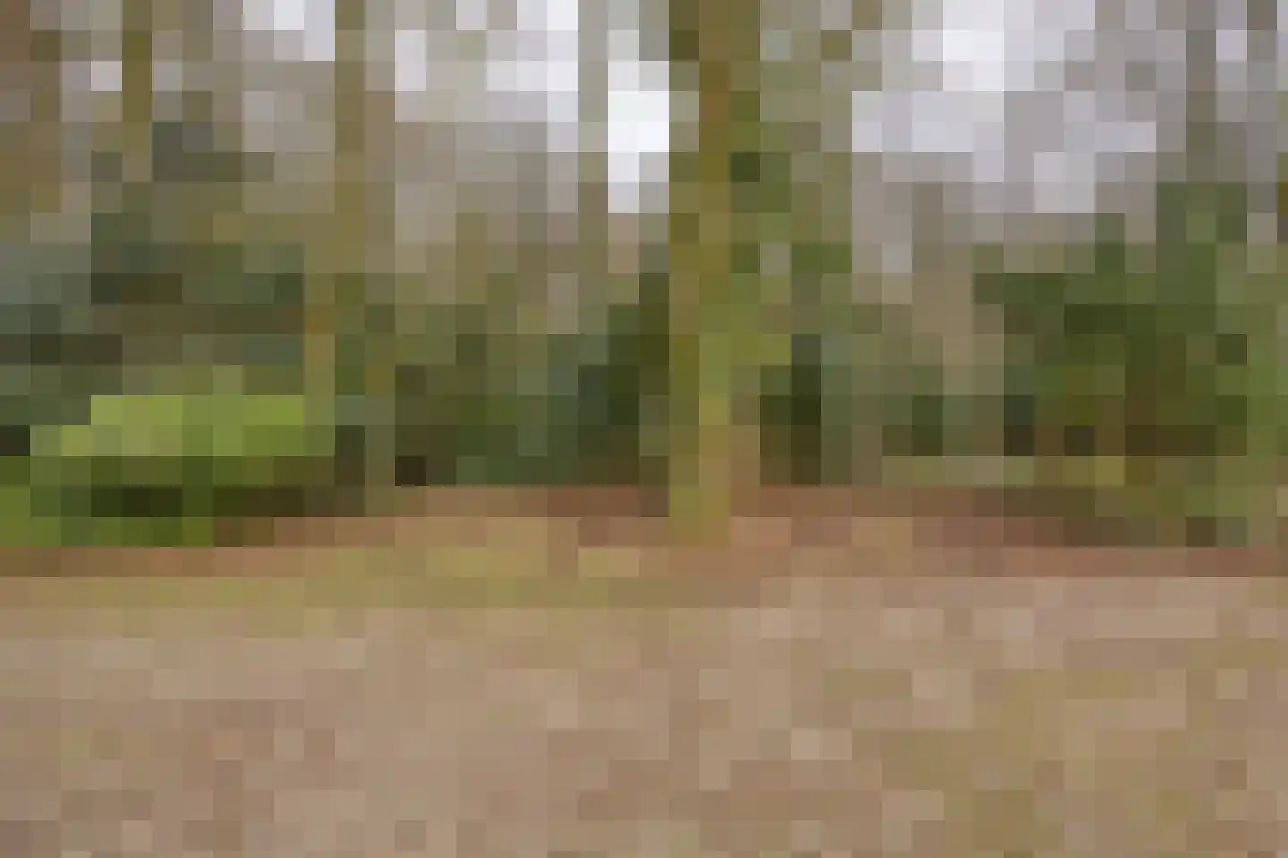 Papenbergseweg 14 Mook thumbnail 53