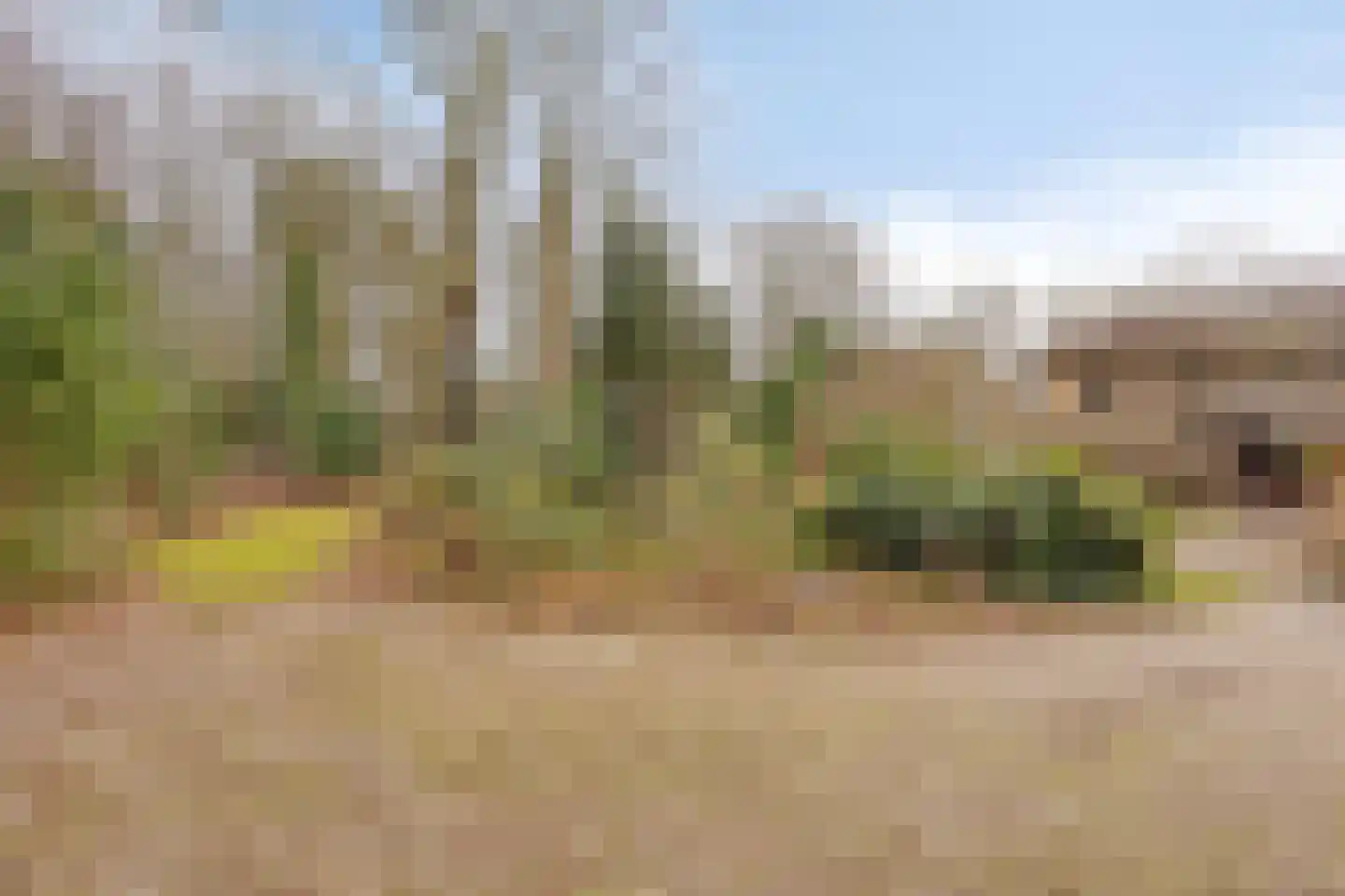 Papenbergseweg 14 Mook thumbnail 54