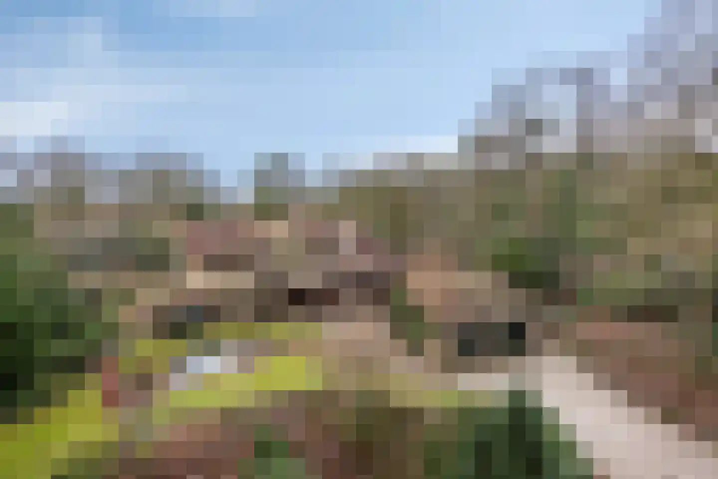 Papenbergseweg 14 Mook thumbnail 56