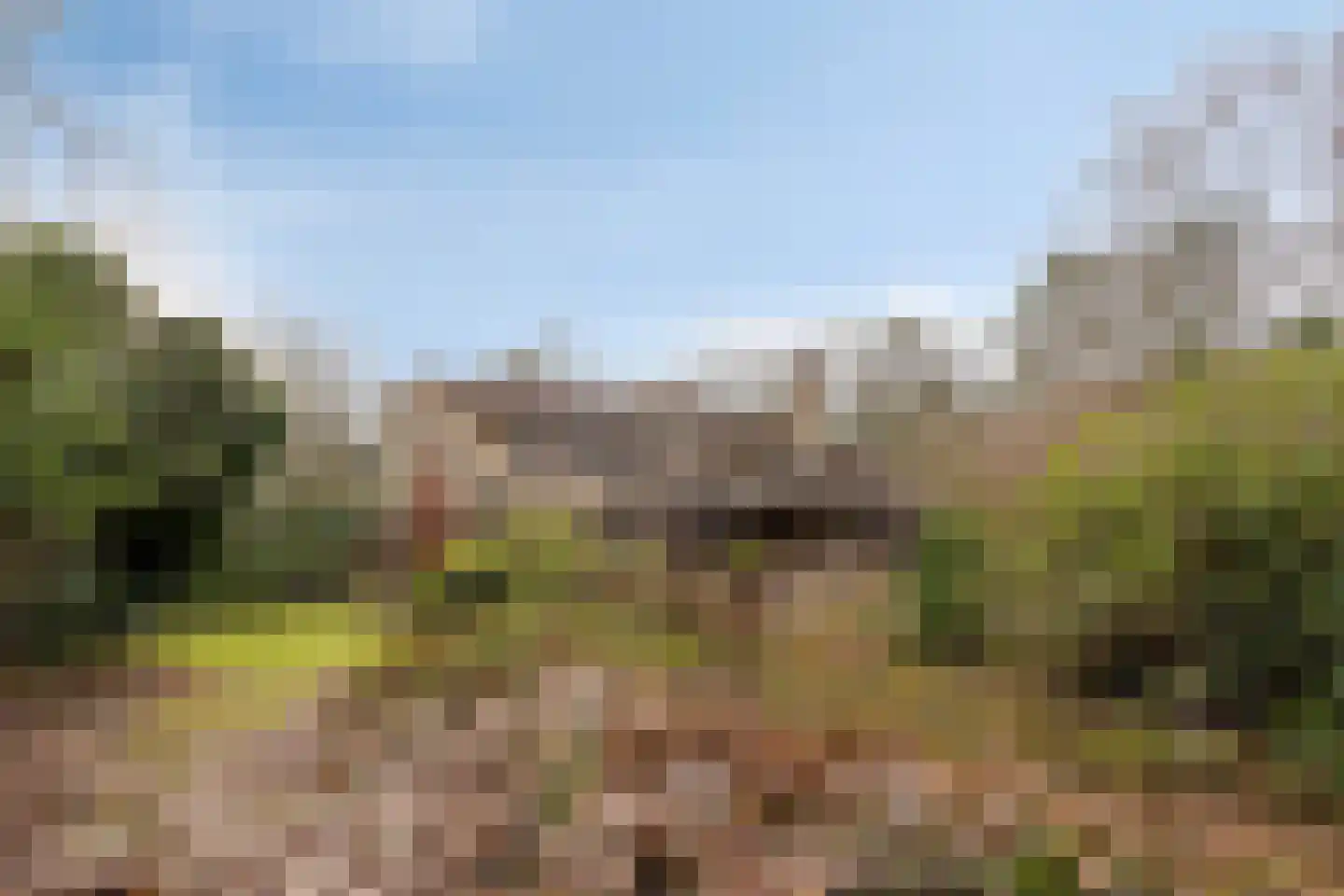 Papenbergseweg 14 Mook thumbnail 58