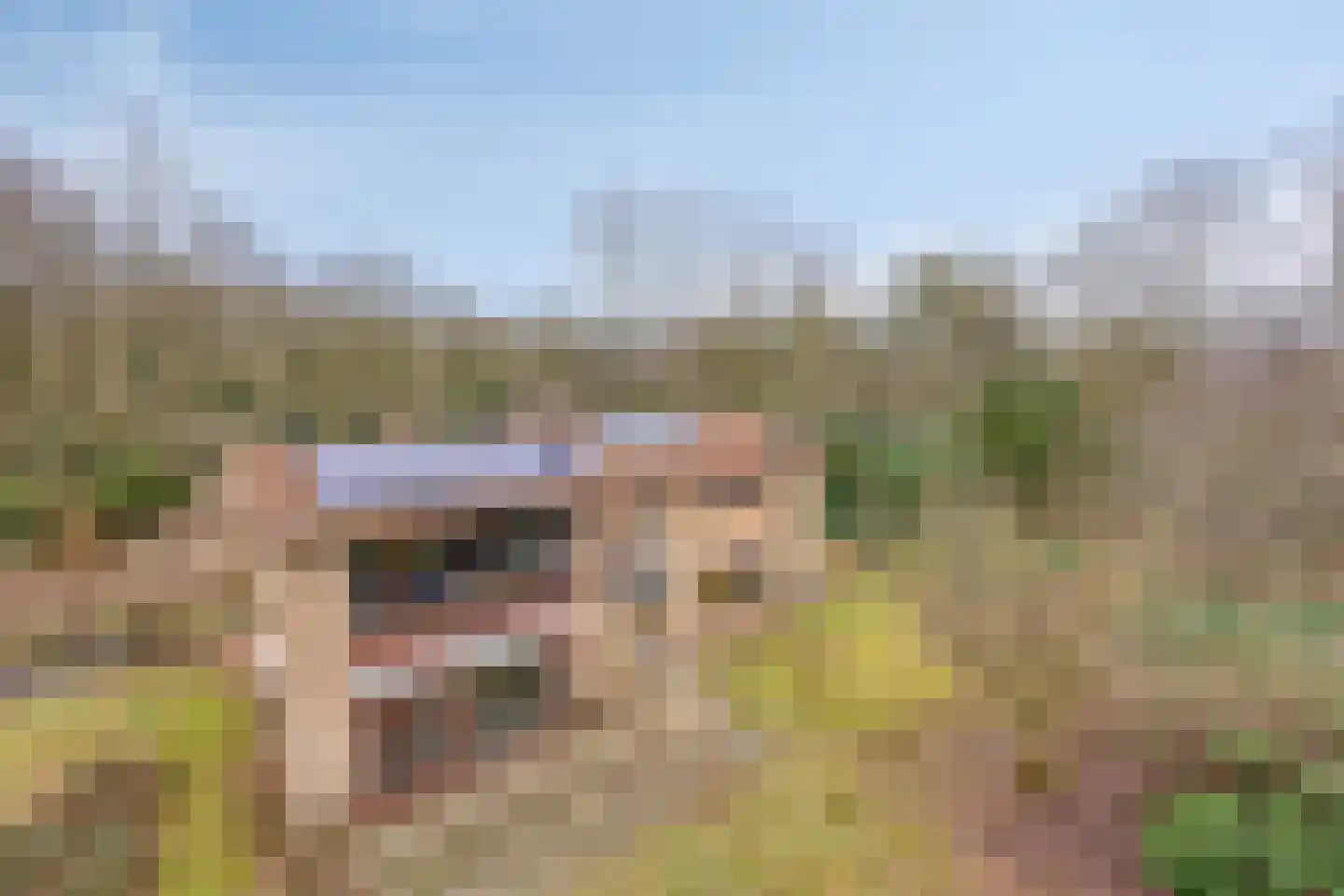 Papenbergseweg 14 Mook thumbnail 60