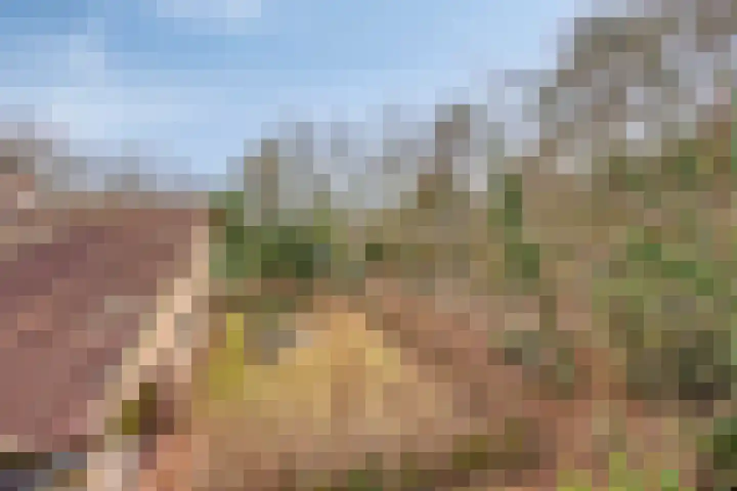 Papenbergseweg 14 Mook thumbnail 62