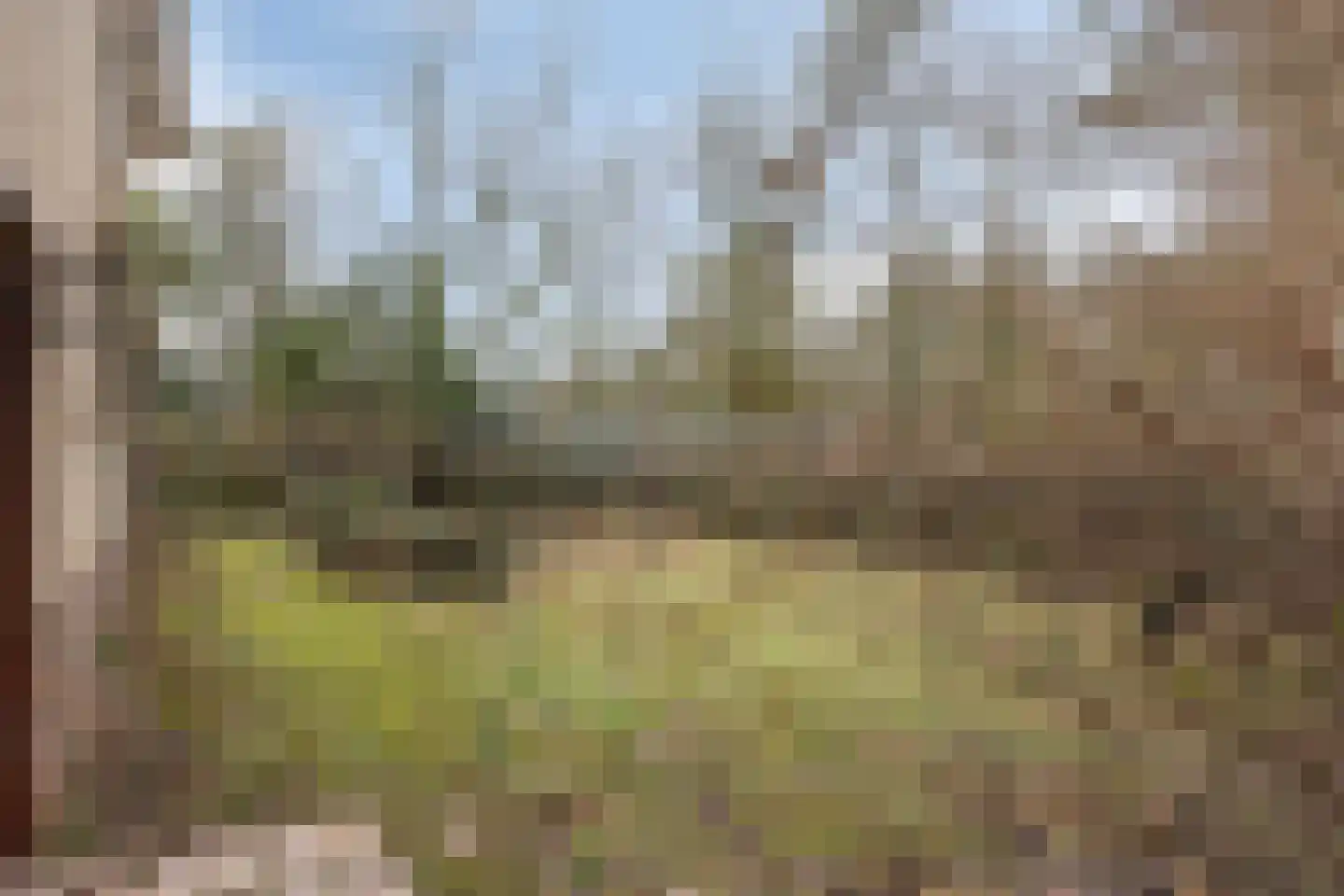 Papenbergseweg 14 Mook thumbnail 63