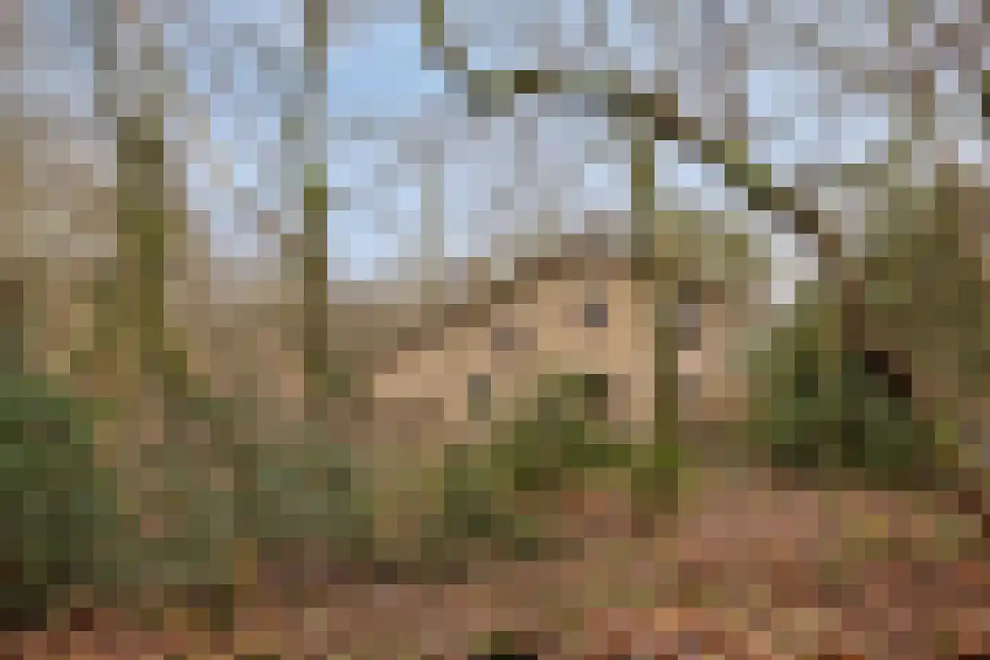 Papenbergseweg 14 Mook thumbnail 64
