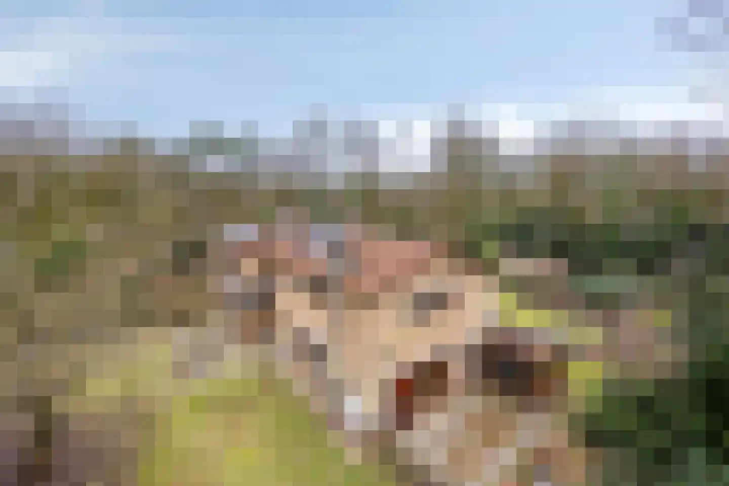 Papenbergseweg 14 Mook thumbnail 65