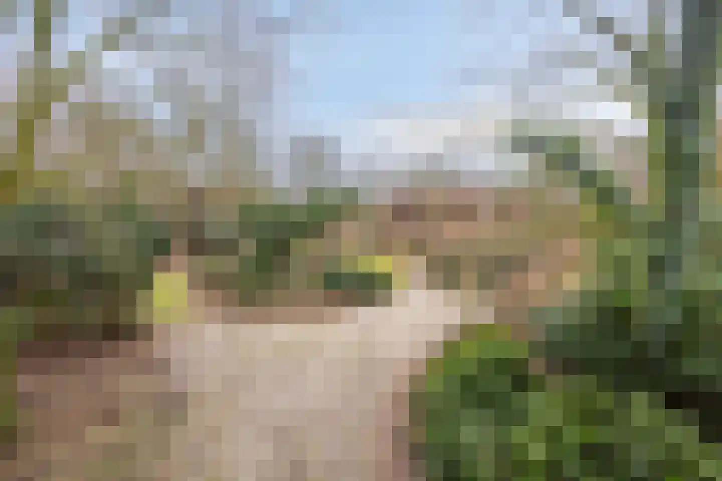 Papenbergseweg 14 Mook thumbnail 66