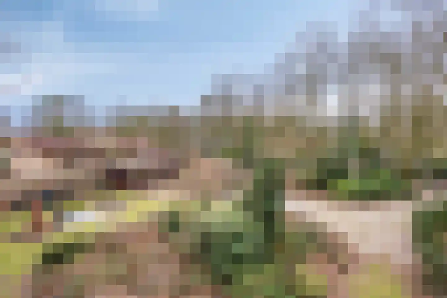 Papenbergseweg 14 Mook thumbnail 67
