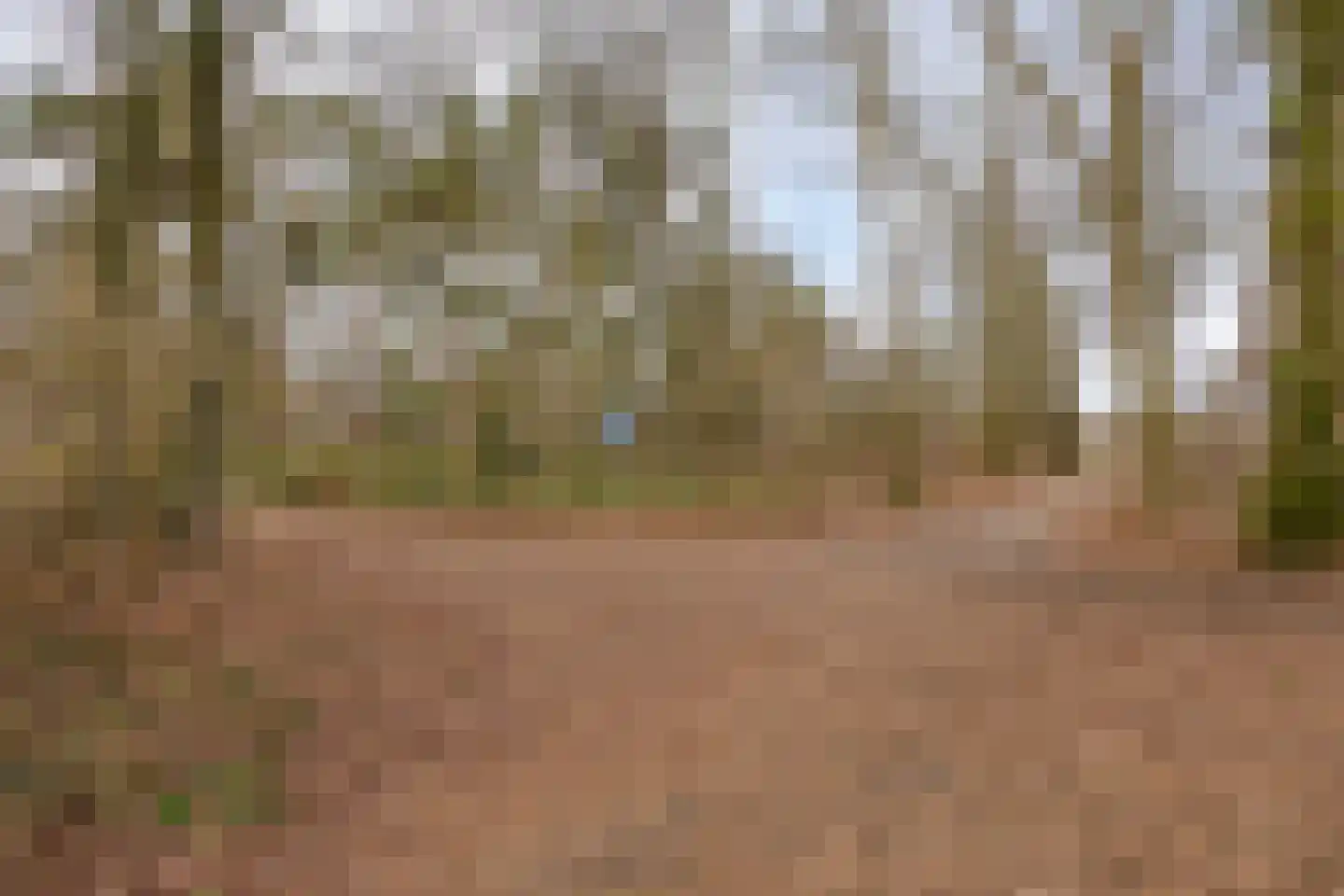 Papenbergseweg 14 Mook thumbnail 68