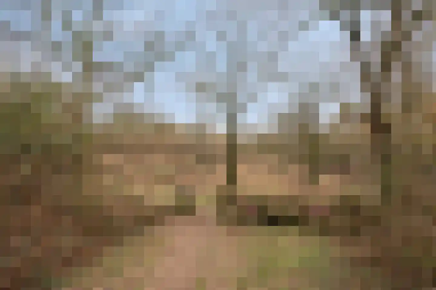 Papenbergseweg 14 Mook thumbnail 70