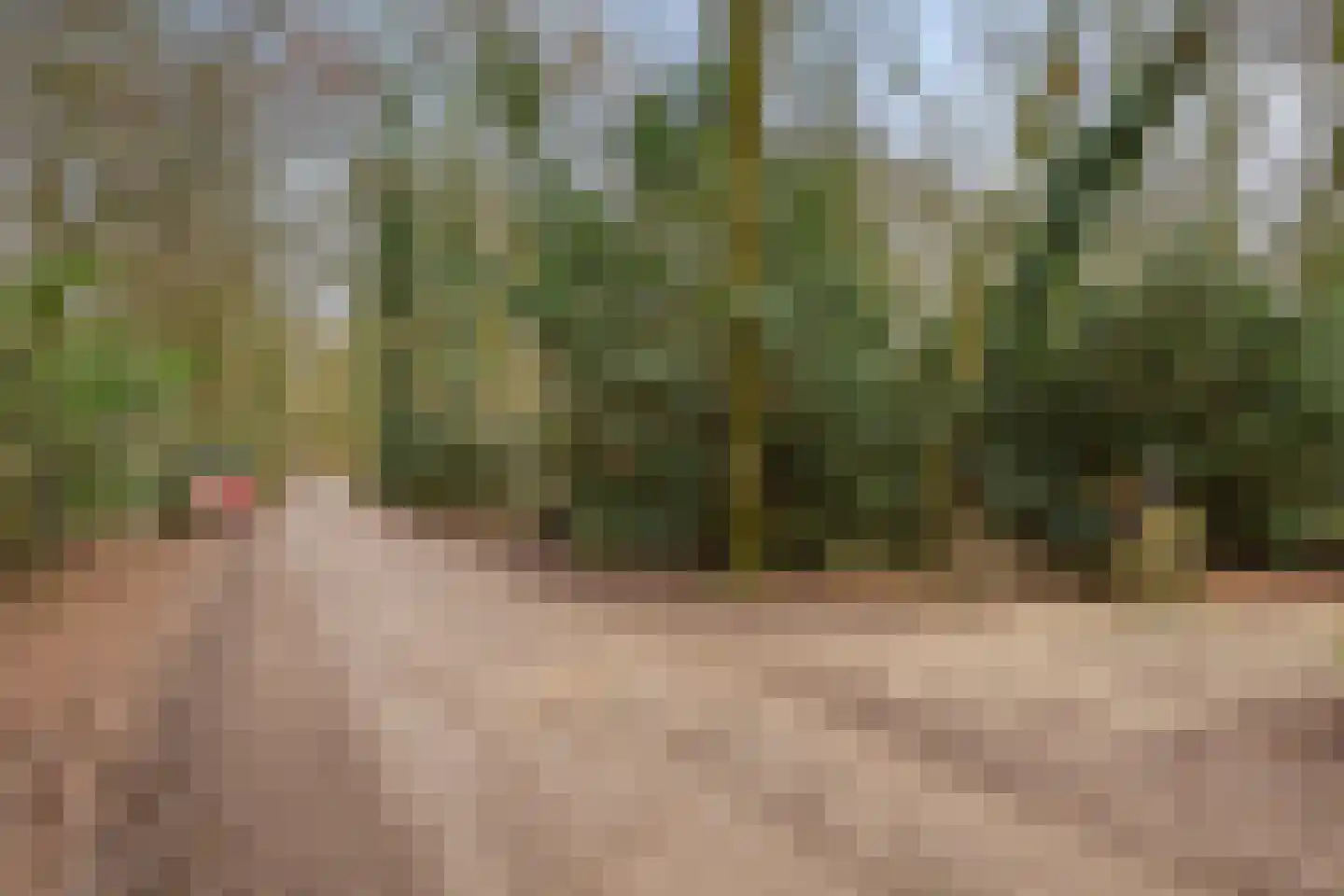 Papenbergseweg 14 Mook thumbnail 71