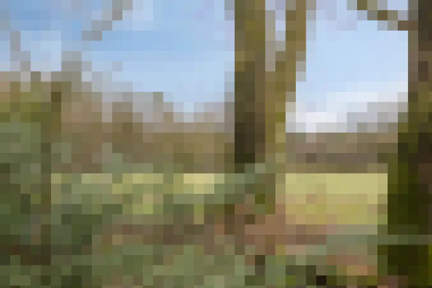 Papenbergseweg 14 Mook thumbnail 72