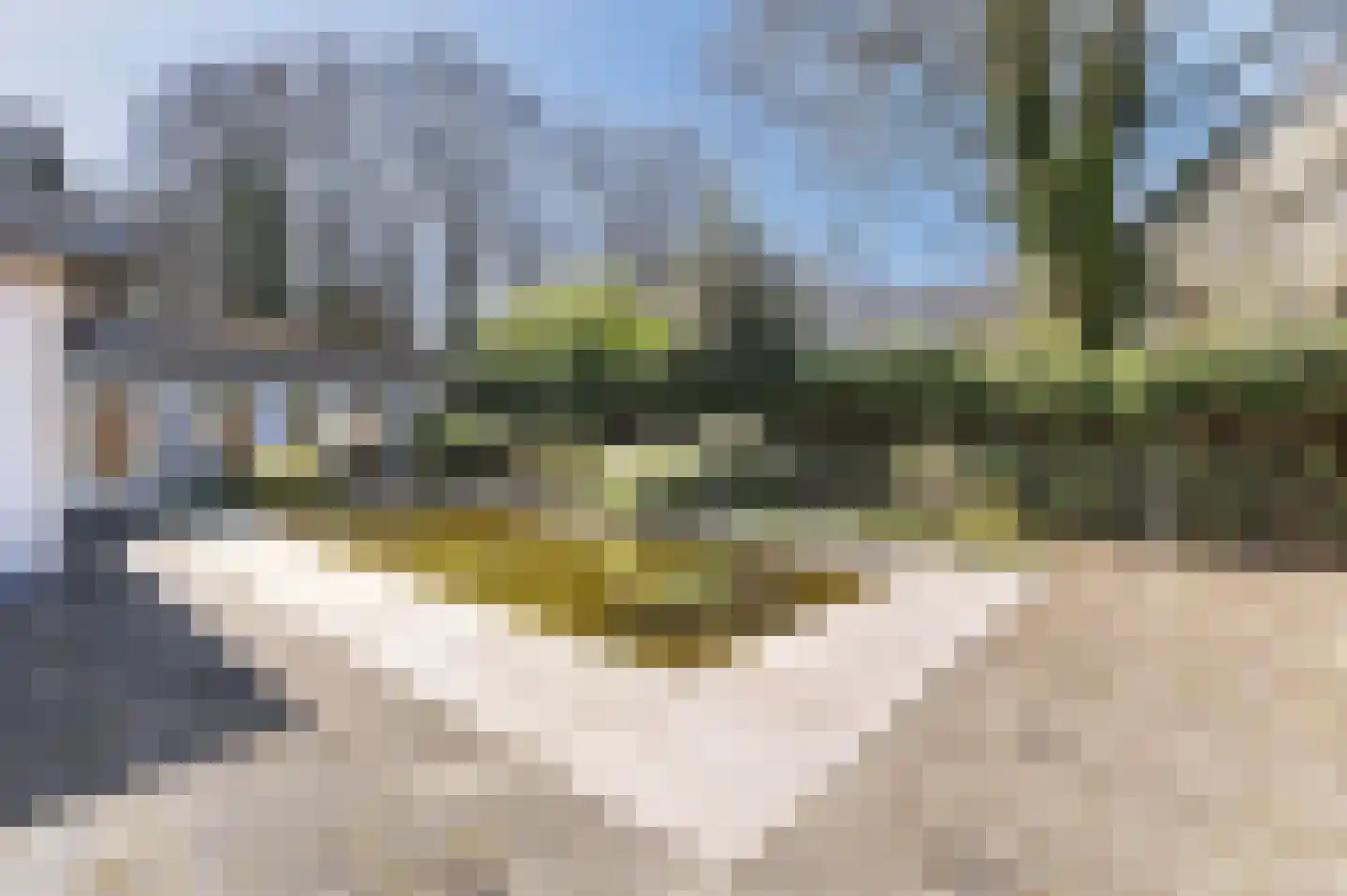 Papenbergseweg 9 Mook thumbnail 42