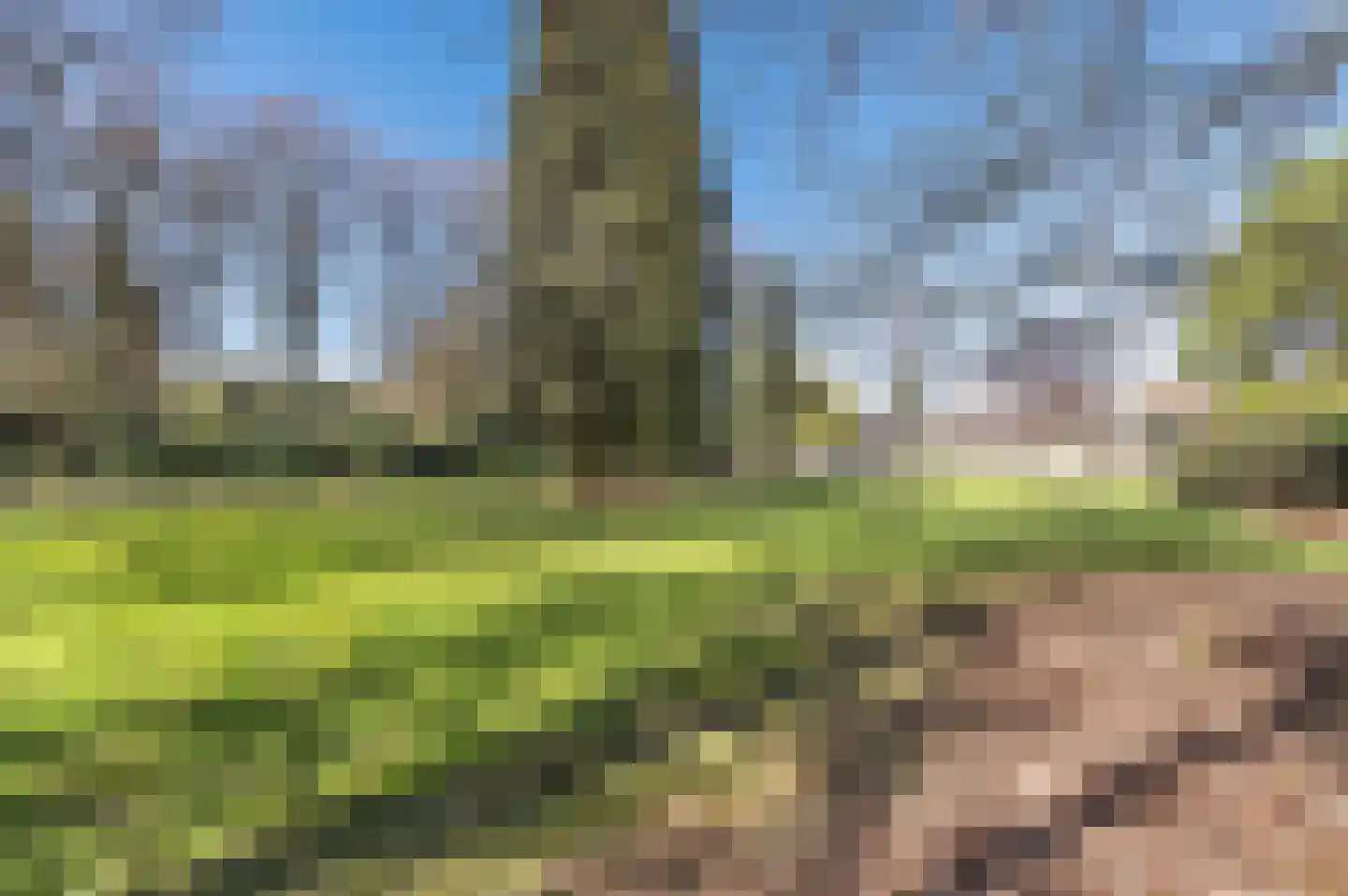 Papenbergseweg 9 Mook thumbnail 54