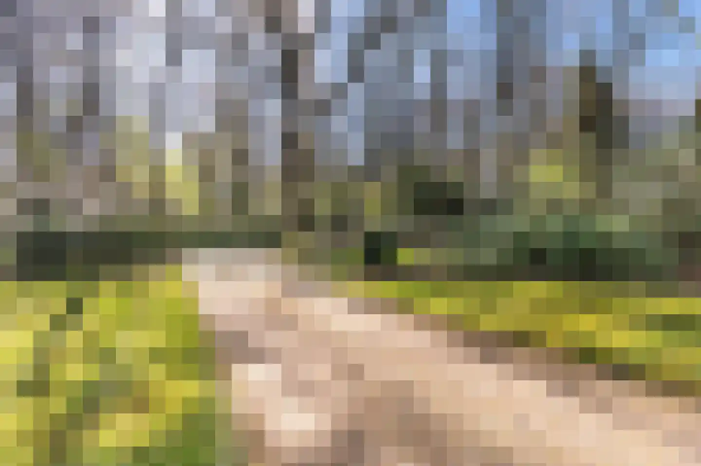 Papenbergseweg 9 Mook thumbnail 56