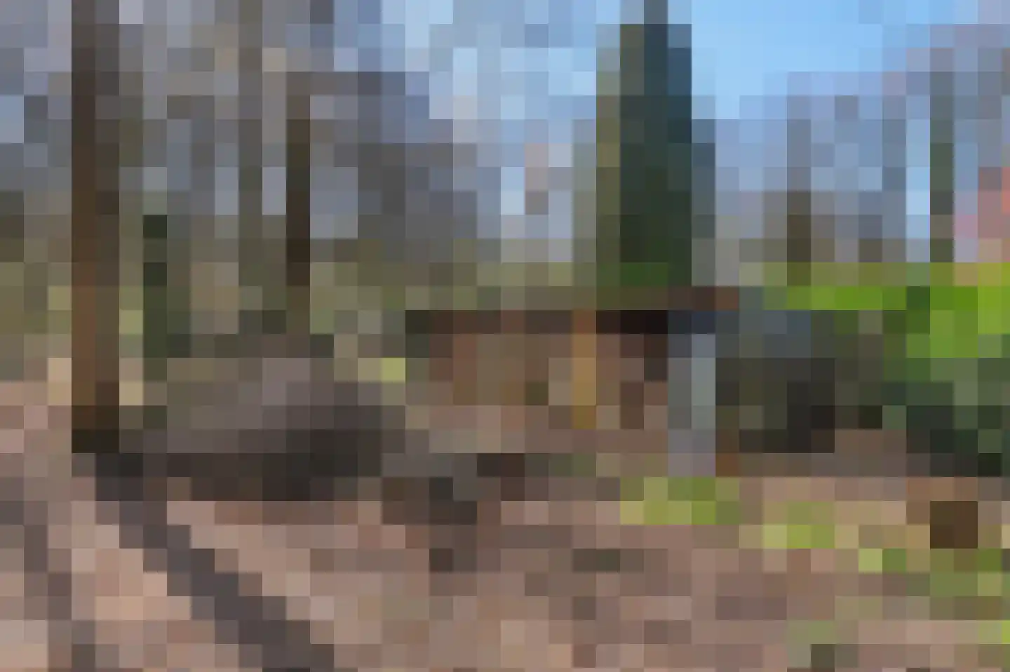 Papenbergseweg 9 Mook thumbnail 57
