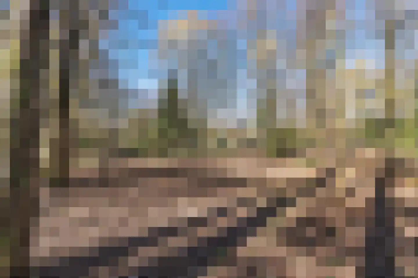 Papenbergseweg 9 Mook thumbnail 61