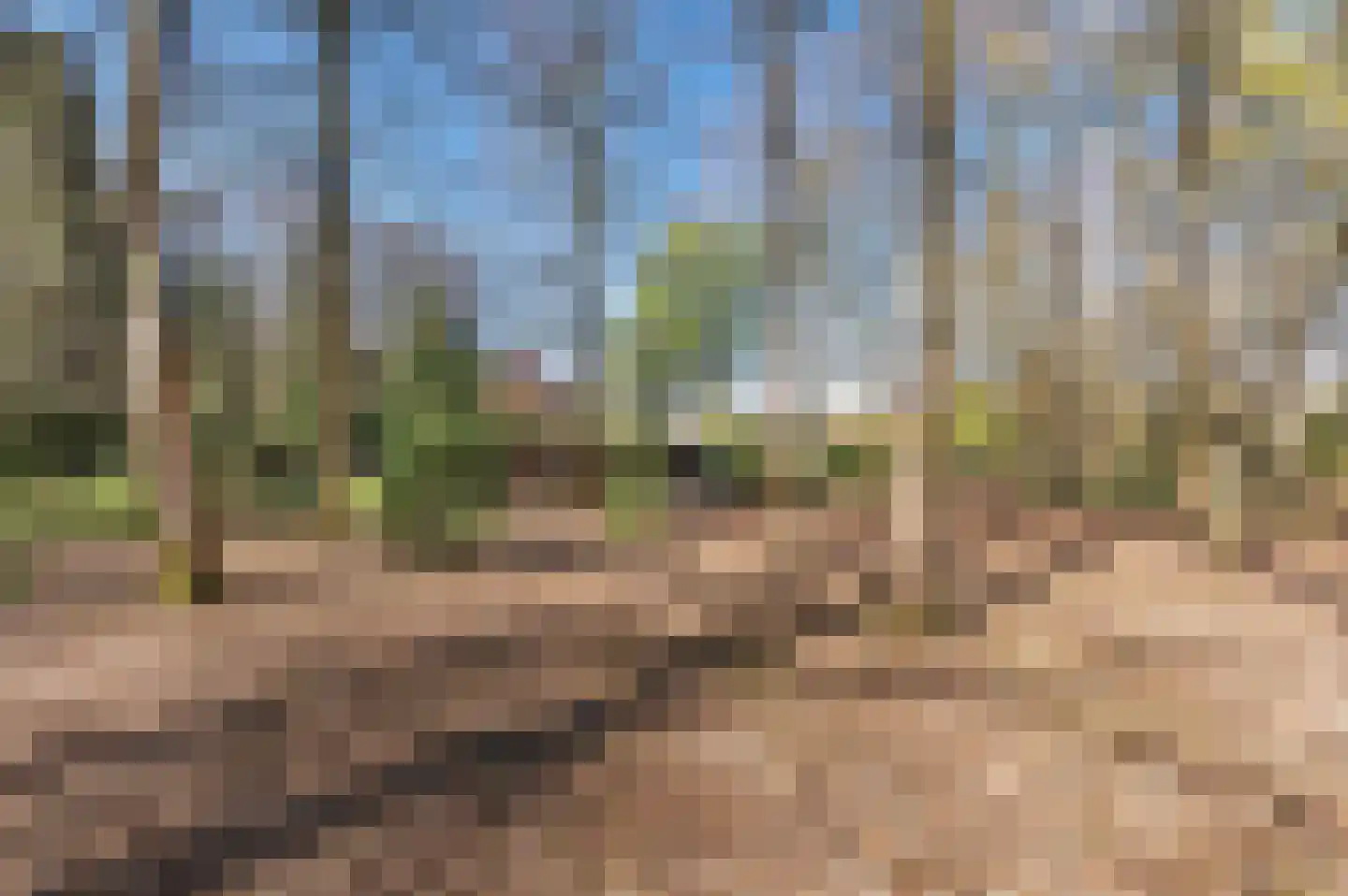 Papenbergseweg 9 Mook thumbnail 62