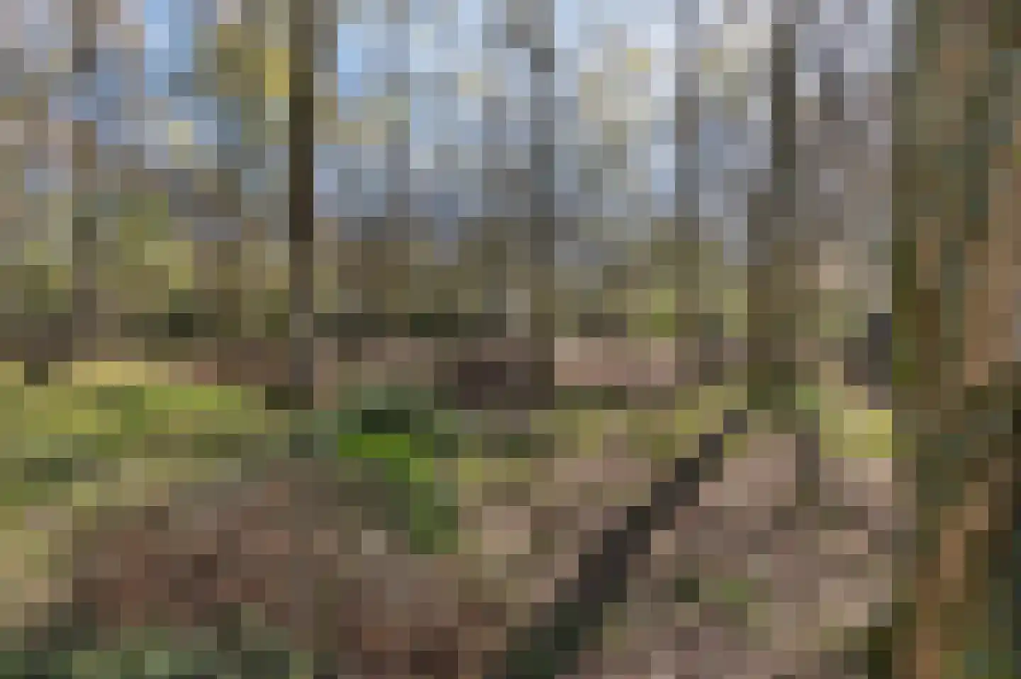 Papenbergseweg 9 Mook thumbnail 63