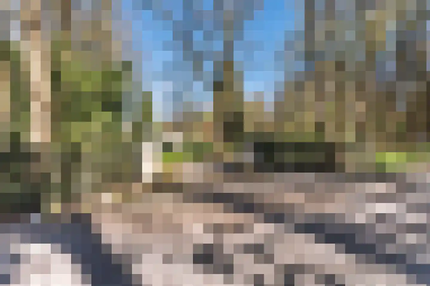 Papenbergseweg 9 Mook thumbnail 65