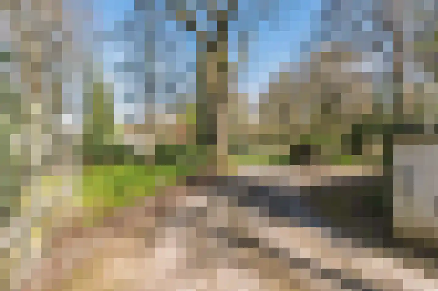 Papenbergseweg 9 Mook thumbnail 66