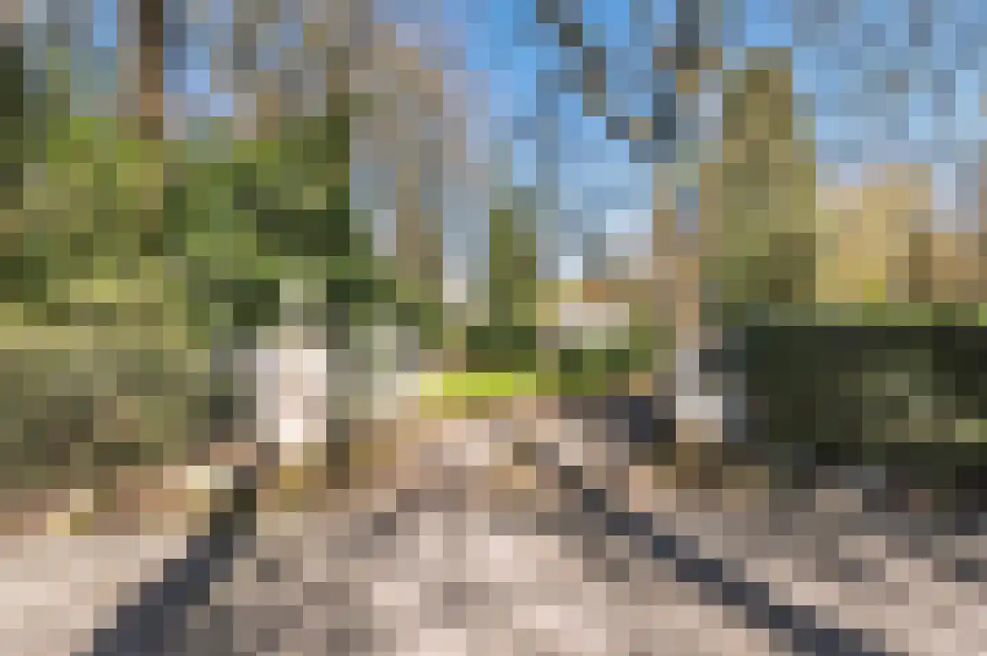Papenbergseweg 9 Mook thumbnail 67