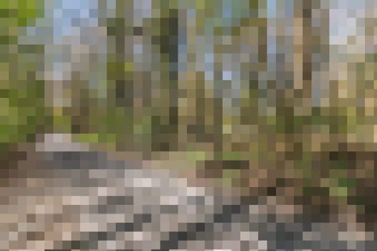 Papenbergseweg 9 Mook thumbnail 69